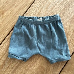Parade Organics shorts